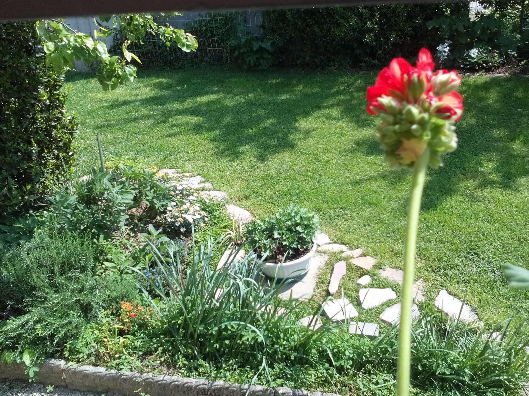 مبيت وإفطار بيازولا سول برينتا Casa Emanuela المظهر الخارجي الصورة